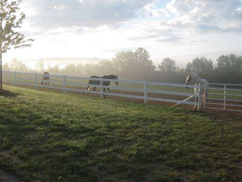 MacGregor Equestrian Farms Ltd.